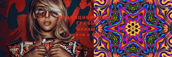 ECSTASY Михайловка