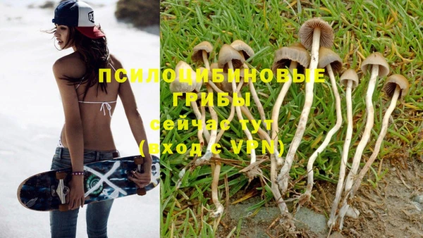 ECSTASY Михайловка