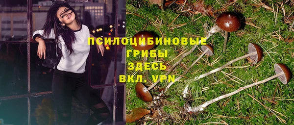 ECSTASY Михайловка