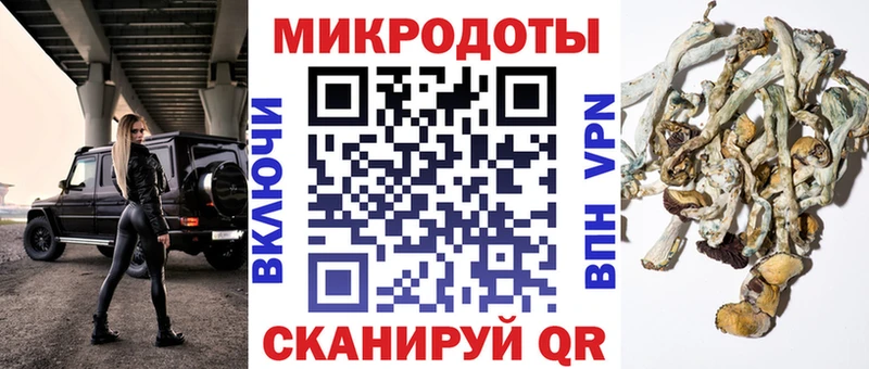 Купить закладки Тобольск Псилоцибиновые грибы мухоморы