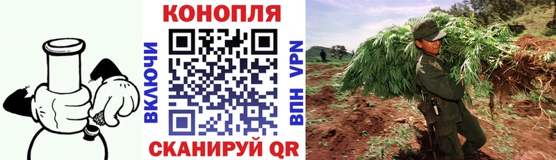 Канабис OG Kush  Купить закладки  Тобольск 